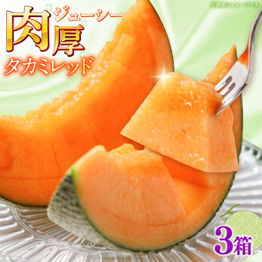 【ふるさと納税】【2026年5月～発送】タカミメロン レッド 3箱（1箱 3～6玉） / メロン めろん フルーツ 果物 / 南島原市 / 南島原果物屋[SCV033]