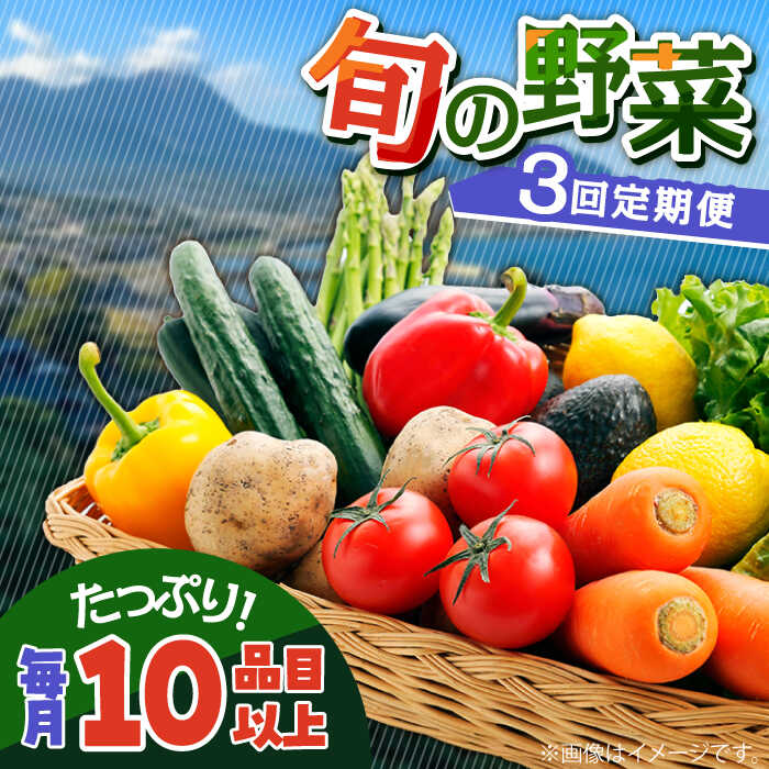 【ふるさと納税】【3回定期便】地元農家さんが収穫した旬のお野菜  10種詰め合わせ / 野菜 旬 新鮮 採れたて 季節野菜 旬野菜 農家直送 野菜定期便 定期便 / 南島原市 / ミナサポ [SCW045]