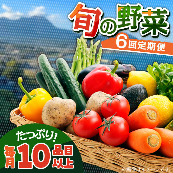 【ふるさと納税】【6回定期便】地元農家さんが収穫した旬のお野菜  10種詰め合わせ / 野菜 旬 新鮮 採れたて 季節野菜 旬野菜 農家直送 野菜定期便 定期便 / 南島原市 / ミナサポ  [SCW046]