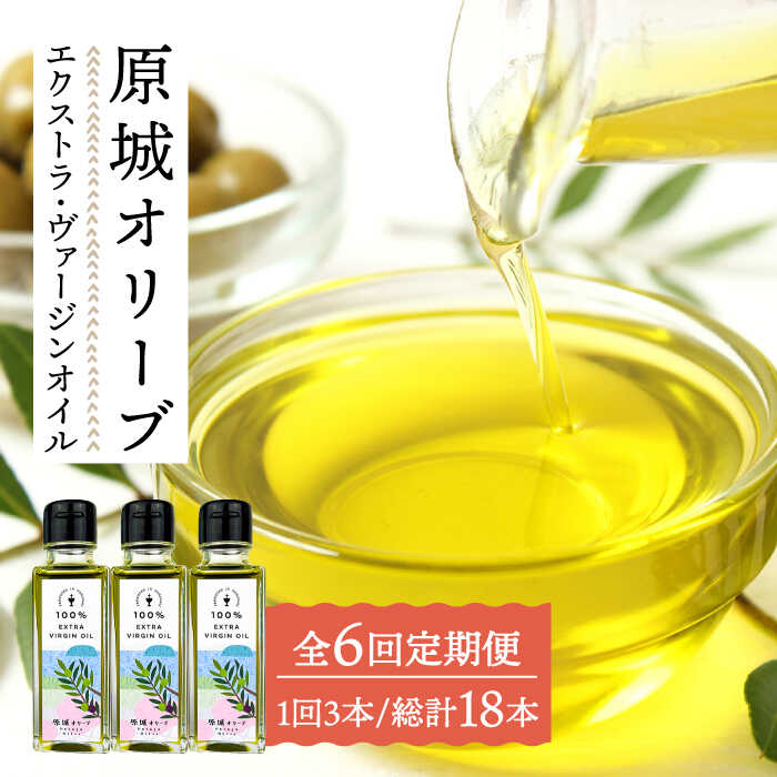【ふるさと納税】【6回定期便】 原城 オリーブ エクストラ・ヴァージンオイル 100ml 3本 / オリーブオイル オイル 油 調味料 オリーブオイル エキストラバージン エクストラバージン おりーぶおいる おいる オリーブ油 油 調味料 食用油 / 南島原市 / ミナサポ [SCW058]｜長崎県南島原市 143,000円