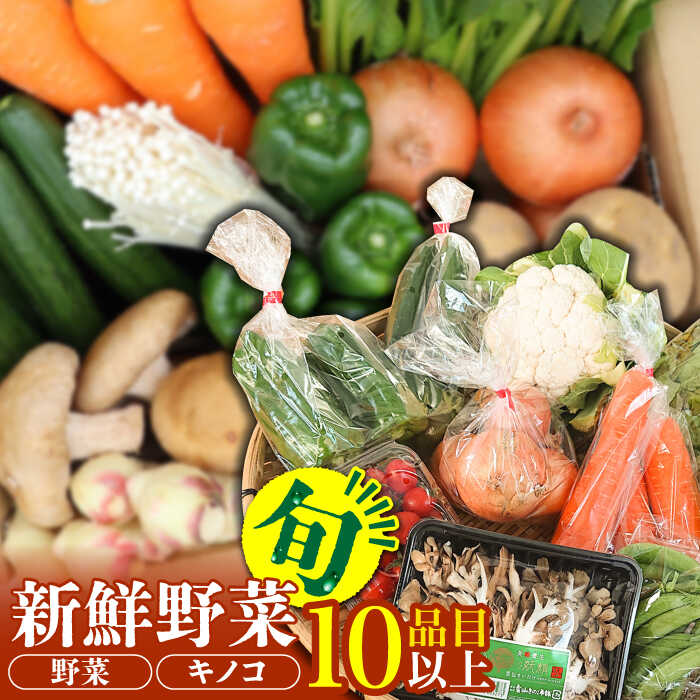 【ふるさと納税】 新鮮野菜・キノコ 10品目以上詰め合わせ / 野菜 やさい きのこ キノコ 詰め合わせ セット / 吉岡青果 / 南島原市 [SCZ004]