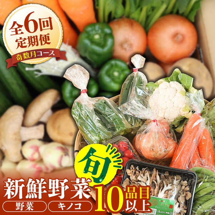 【ふるさと納税】【6回定期便 奇数月コース】野菜定期便 きのこをセット 10品目以上 「6回（奇数月）」 / 野菜 春野菜 夏野菜 秋野菜 冬野菜 きのこ 旬 定期便 / 南島原市 / 吉岡青果 [SCZ005]
