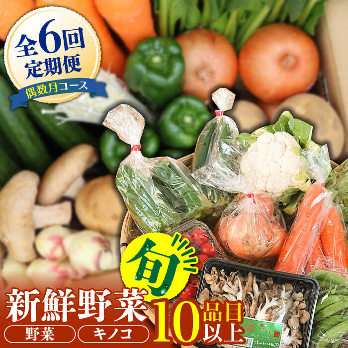 【ふるさと納税】【6回定期便 偶数月コース】野菜定期便 キノコをセット 10品目以上  当日仕入れ当日発送！ / 定期便 野菜 春野菜 夏野菜 秋野菜 冬野菜 旬 きのこ キノコ 産地直送 / 南島原市 / 吉岡青果 [SCZ006]