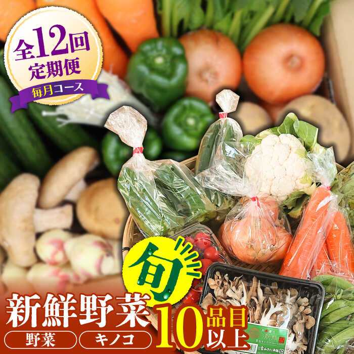 【ふるさと納税】【12回定期便】野菜定期便 キノコをセット「12回（毎月）」お届け 10品目以上 詰め合わせ 12回  / 定期便 野菜 やさい 春野菜 夏野菜 秋野菜 冬野菜 旬 / 南島原市 / 吉岡青果 [SCZ007]