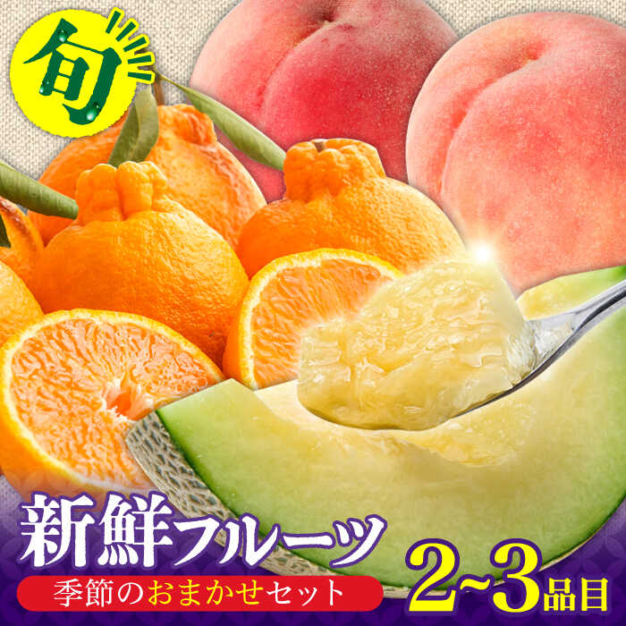 【ふるさと納税】季節の果物 詰め合わせ フルーツセット 旬の果物をお任せで2～3品目お届け / フルーツ 果物 春フルーツ 夏フルーツ 秋フルーツ 冬フルーツ / 南島原市 / 吉岡青果 [SCZ012]