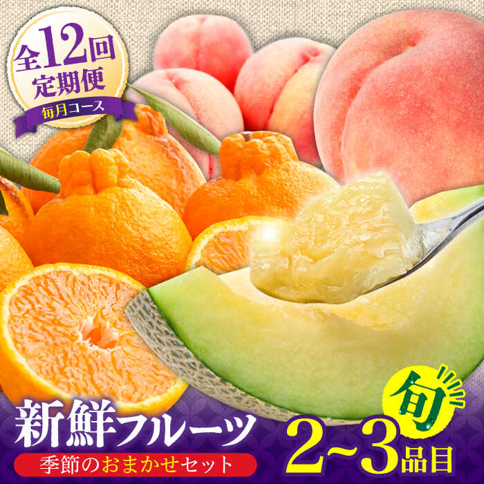【ふるさと納税】【12回定期便】フルーツ定期便 旬の果物をお任せで2～3品目お届け（2～3品目×12回）季節の果物 詰め合わせ 果物 セット / 定期便 フルーツ 果物 春フルーツ 夏フルーツ 秋フルーツ 冬フルーツ /  南島原市 / 吉岡青果 [SCZ014]