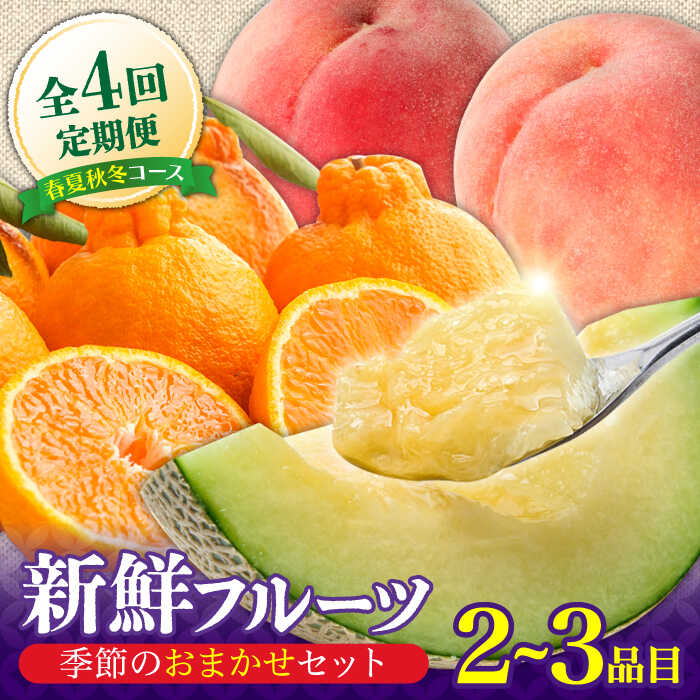 【ふるさと納税】【4回定期便】フルーツ定期便 旬の果物をお任せで2～3品目お届け（2～3品目×4回） / 定期便 フルーツ 季節の果物 春フルーツ 夏フルーツ 秋フルーツ 冬フルーツ / 南島原市 / 吉岡青果 [SCZ020]