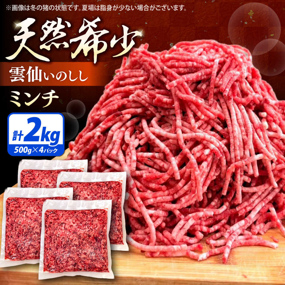 【ふるさと納税】猪肉 ミンチ 2kg 雲仙いのしし / ひき肉 肉 イノシシ ジビエ いのしし ハンバーグ / 南島原市 / もりのめぐみ[SDB013]