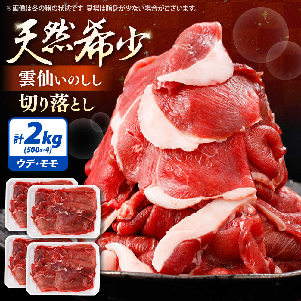 【ふるさと納税】猪肉 切り落とし 2kg 雲仙いのしし モモ ウデ / 肉 イノシシ ジビエ いのしし 焼肉 ぼたん鍋 切り落とし / 南島原市 / もりのめぐみ[SDB016]