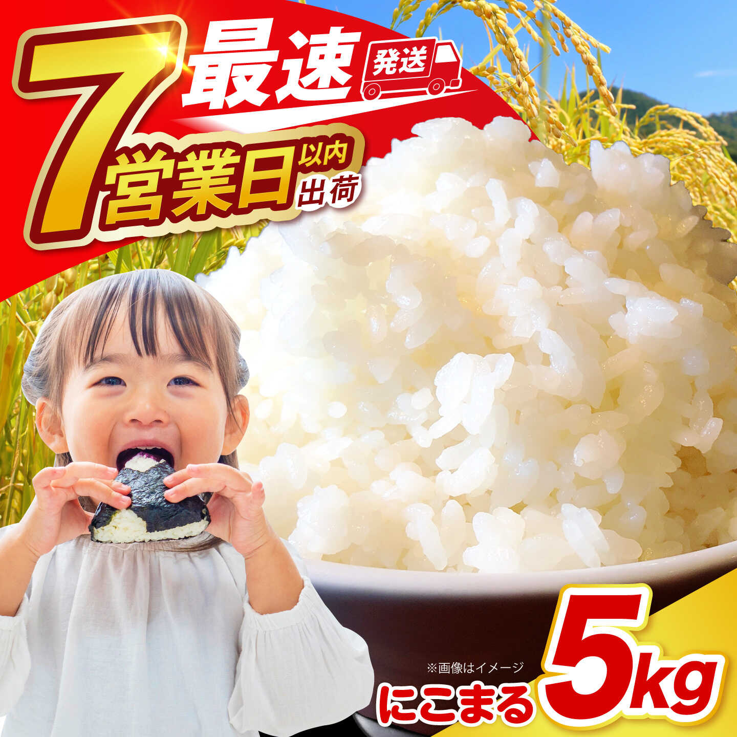 【ふるさと納税】長崎県産 精米 にこまる 5kg / 南島原市 / 大松屋商店 [SDR001]