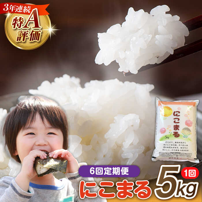 【ふるさと納税】【6回定期便】 長崎県産 精米 にこまる 5kg 総計 30kg / 南島原市 / 大松屋商店 [SDR003]