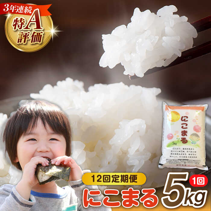 【ふるさと納税】【12回定期便】 長崎県産 精米 にこまる 5kg 総計 60kg / 白米 米 お米 こめ コメ ライス ご飯 ごはん 国産 お取り寄せ 仕送り 人気 おすすめ 贈り物 産地直送 5キロ 精米 おこめ kome 送料無料 / 南島原市 / 大松屋商店 [SDR004]｜長崎県南島原市