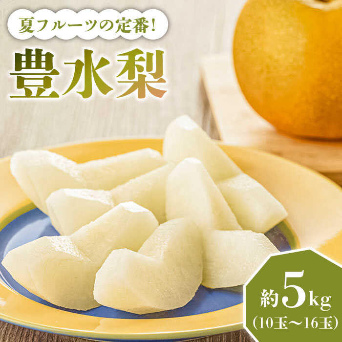 【ふるさと納税】【2026年8月～発送】【口いっぱいのみずみずしさ！】豊水梨 約5kg 梨専門 八木農園 / 梨 なし ナシ / 南島原市 / 贅沢宝庫 [SDZ033]