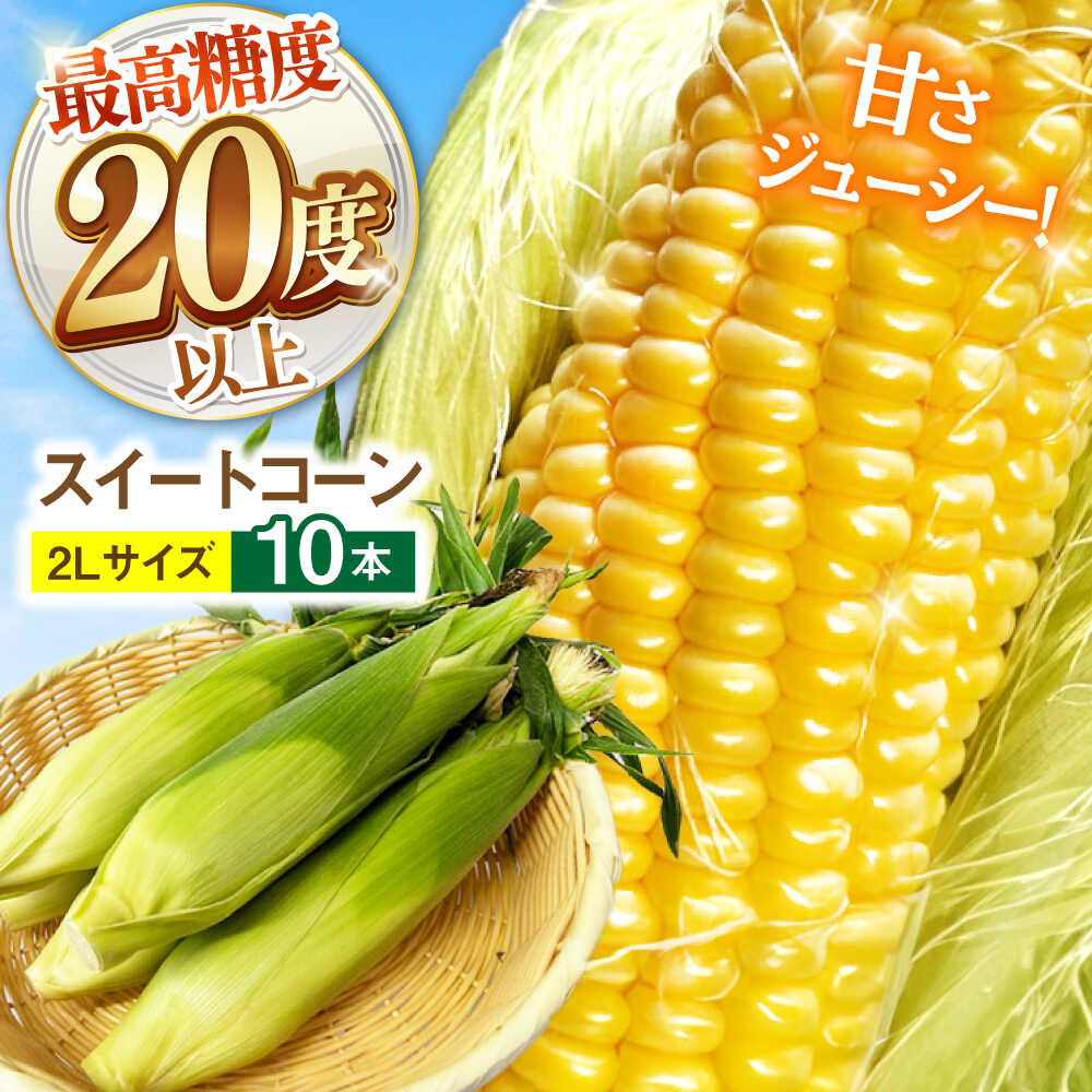 【ふるさと納税】【2026年6月～発送】【最高糖度20度以上！】とうもろこし 2Lサイズ 10本 / ゴールドラッシュネオ トウモロコシ コーン スイートコーン / 南島原市 / 三和サービス株式会社[SGB008]