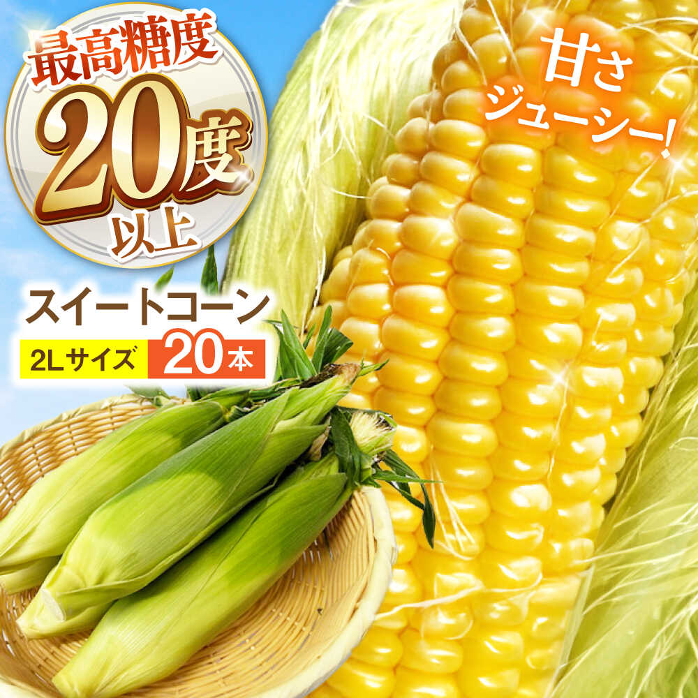 【ふるさと納税】【2026年6月～発送】【最高糖度20度以上！】とうもろこし 2Lサイズ 20本 / ゴールドラッシュネオ トウモロコシ コーン スイートコーン / 南島原市 / 三和サービス株式会社[SGB009]