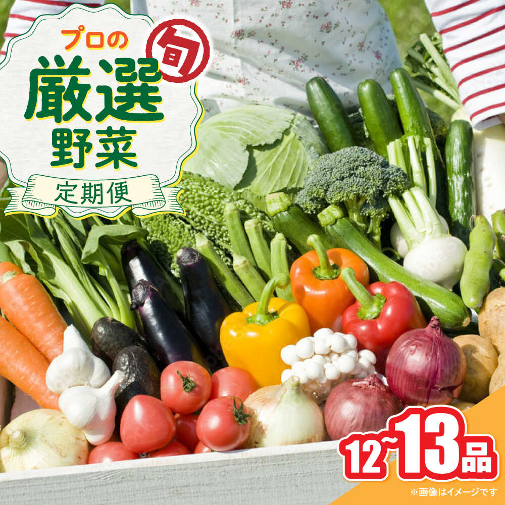 【ふるさと納税】野菜のプロが選ぶ 旬の野菜セット 12～13品目 野菜定期便 / 野菜 やさい セット 新鮮 / 南島原市 / 愛2農園[SGG005]｜長崎県南島原市