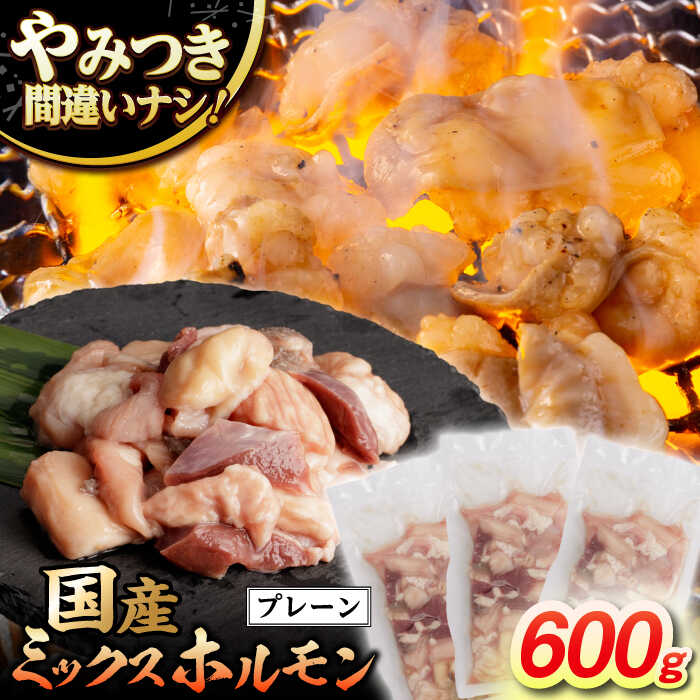【ふるさと納税】【長崎和牛】ミックスホルモン（プレーン） 200g&times;3袋 長与町/なかみ屋本舗[EAD094] 長崎和牛 国産 和牛 ホルモン レバー ホルモンミックス 牛 ほるもん 冷凍 味付き プレーン 味付け 小分け カット済 真空パック 焼肉 ミックス セット おかず おつまみ｜長崎県長与町
