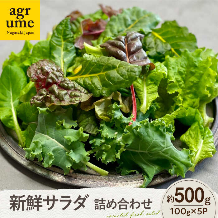 【ふるさと納税】水耕栽培 新鮮サラダ野菜の詰め合わせセット 約100g×5袋 長与町/アグリューム[EAI136] 新鮮 野菜 サラダ さらだ セット 詰め合わせ
