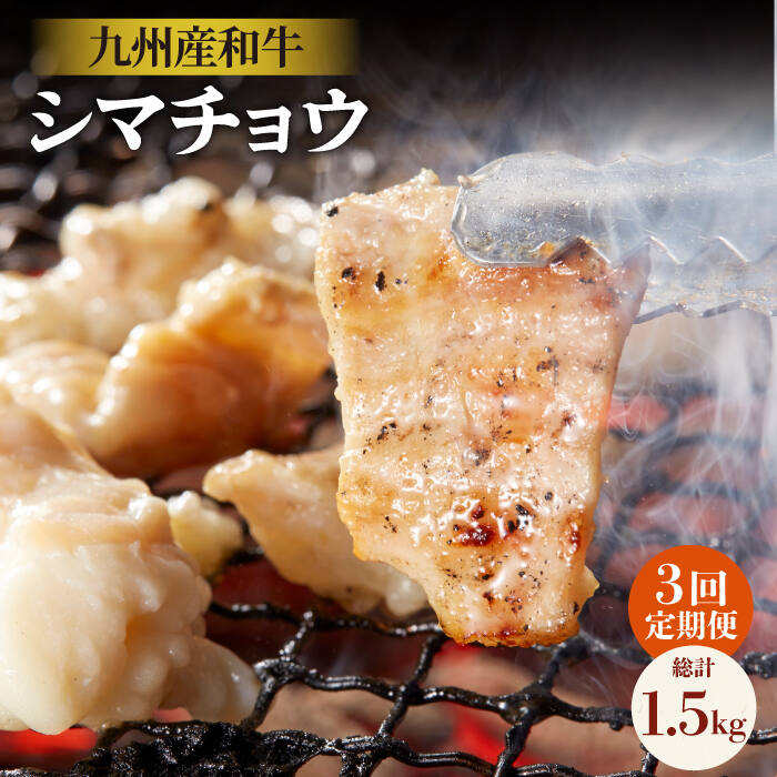 市場 ふるさと納税 3回定期便 500g 焼肉 シマチョウ シマ腸 250g×2P 九州産和牛