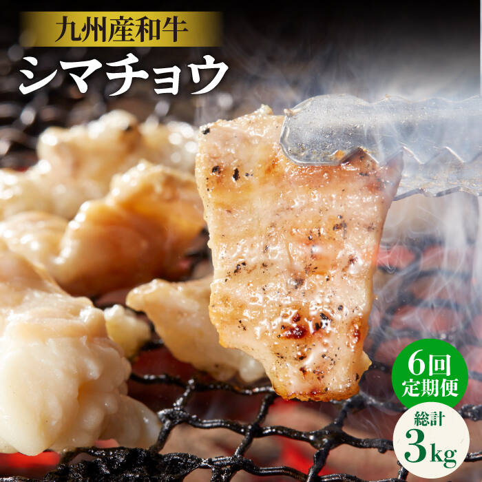 市場 ふるさと納税 500g 6回定期便 焼肉 250g×2P シマ腸 九州産和牛 シマチョウ