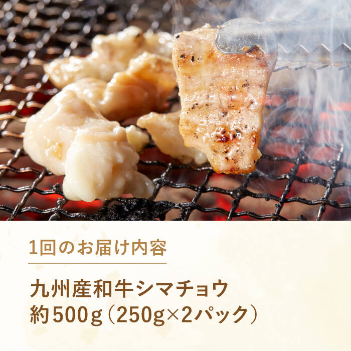 市場 ふるさと納税 焼肉 500g 12回定期便 シマチョウ シマ腸 250g×2P 九州産和牛