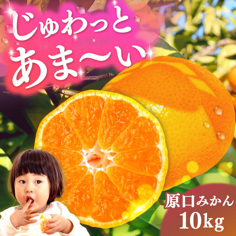 【ふるさと納税】【2026年11月より発送】原口みかん 10kg（箱込み） 長与町/岩永農園[EAZ005]｜長崎県長与町