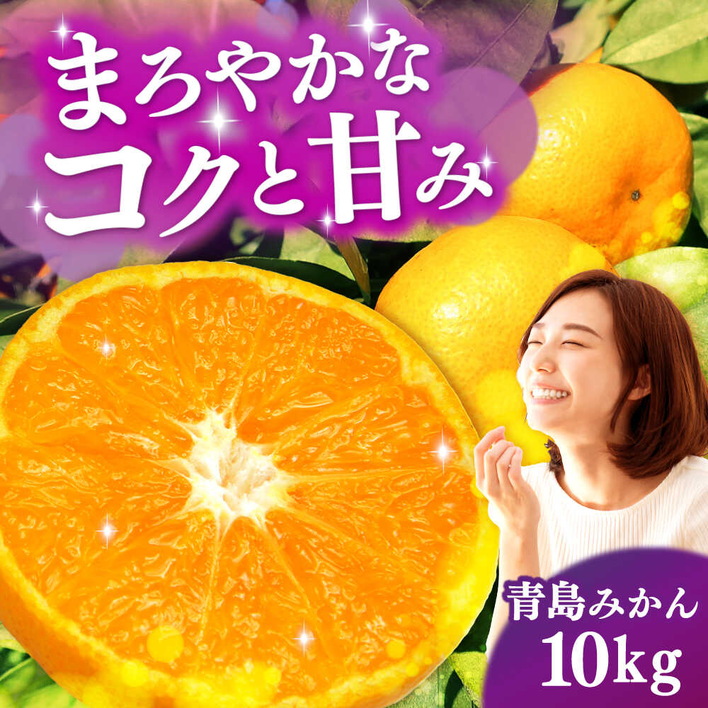【ふるさと納税】【2027年1月より発送】青島みかん 10kg（箱込み）長与町/岩永農園[EAZ009]｜長崎県長与町