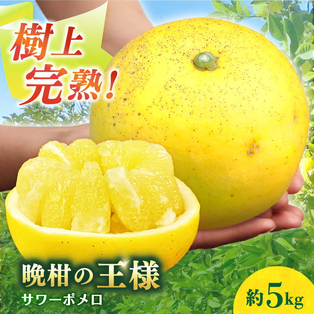 【ふるさと納税】【数量限定】サワーポメロ 約 5kg ー2026年3月より発送ー 長与町/ 溝上農園  [EBY004] サワーポメロ 先行予約 国産 柑橘 果物 くだもの 文旦 フルーツ お取り寄せ 長崎県産 長与町 文旦 ぶんたん ボンタン ザボン