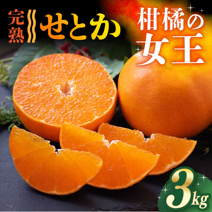 【ふるさと納税】【ご家庭用】 せとか 3kg ー2026年3月より発送ー 長与町/果豊園  [ECL003] みかん ミカン 柑橘 フルーツ 果物 完熟 季節限定 家庭用 先行予約 長崎県産 長与町