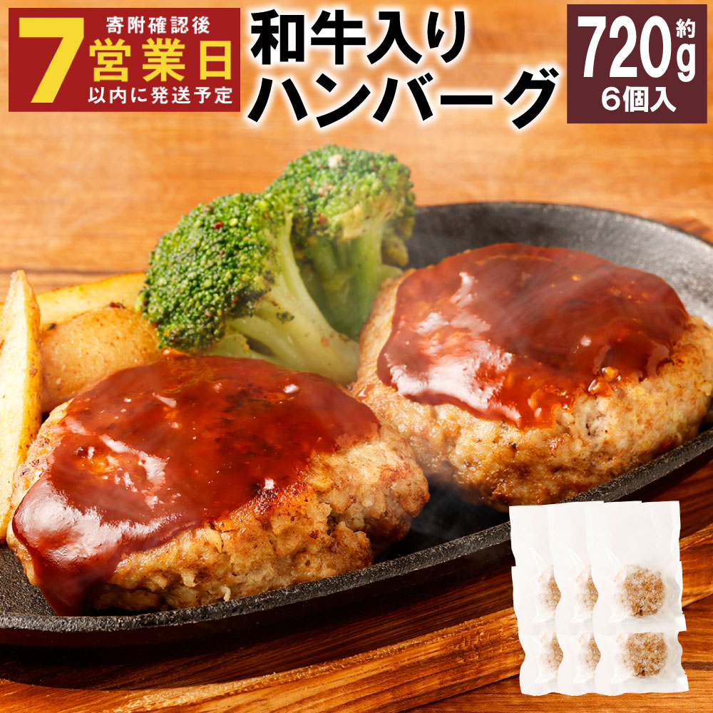 【ふるさと納税】和牛入りハンバーグ 合計720g 約120g&times;6個入 ハンバーグ 和牛 牛肉 肉 惣菜 おかず 九州 長崎県 冷凍 送料無料｜長崎県時津町