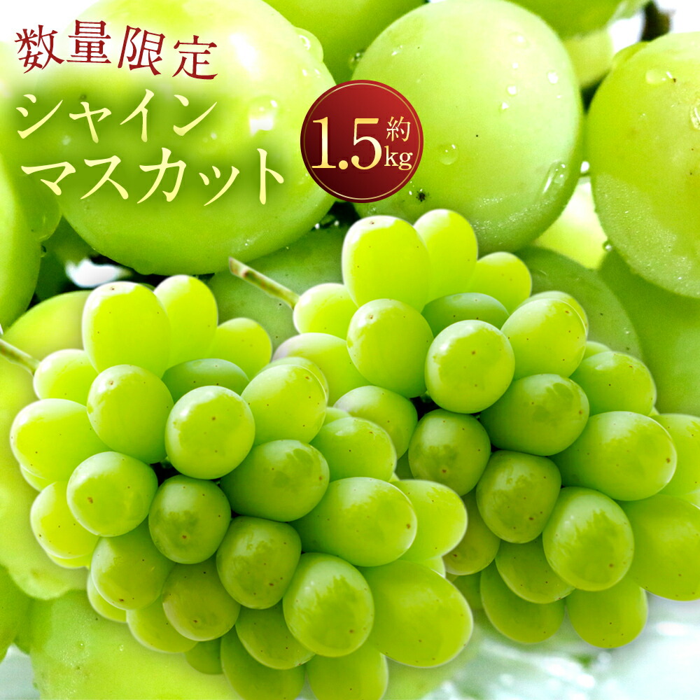 【ふるさと納税】先行予約 長崎県産 シャインマスカット 約1.5kg 数量限定 時津町産 葡萄 フルーツ 果物 果実 送料無料 九州産 送料無料【2025年8月下旬～9月下旬に順次発送予定】