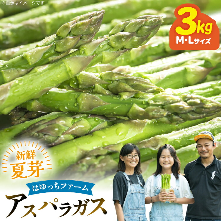 【ふるさと納税】 アスパラ アスパラガス 夏芽アスパラガス 3.0kg M L サイズ混合 [はゆっちFARM 長崎県 東彼杵町 hs42bag360007] アスパラ あすぱら 新鮮 夏｜長崎県東彼杵町 17,500円