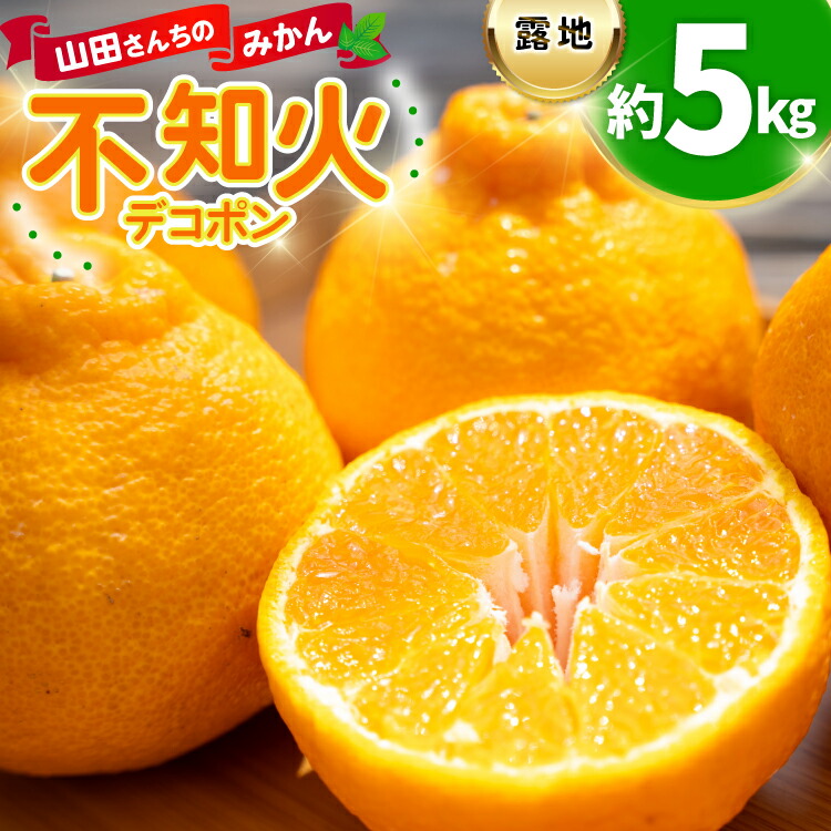 【ふるさと納税】 みかん 山田さんちの露地不知火(しらぬい) 約5kg [長崎県 東彼杵町 hs42bag330001] 果物 柑橘 国産 長崎産 東彼杵