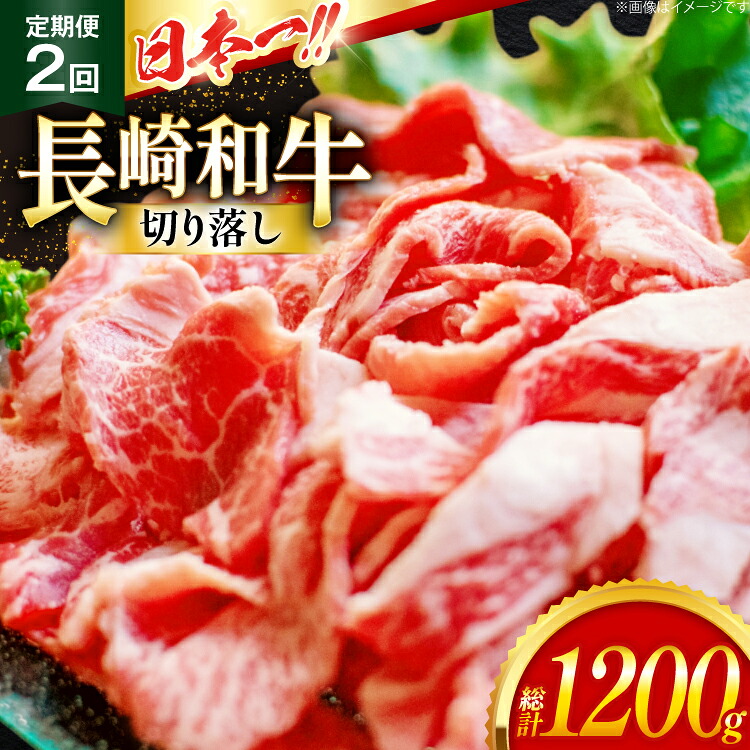 【ふるさと納税】 牛肉 切り落とし 定期便 長崎和牛 切り落し600g 2回 総計1200g [大川ストアー 長崎県 東彼杵町 hs42bag580011] 肉 牛肉 和牛 焼肉｜長崎県東彼杵町