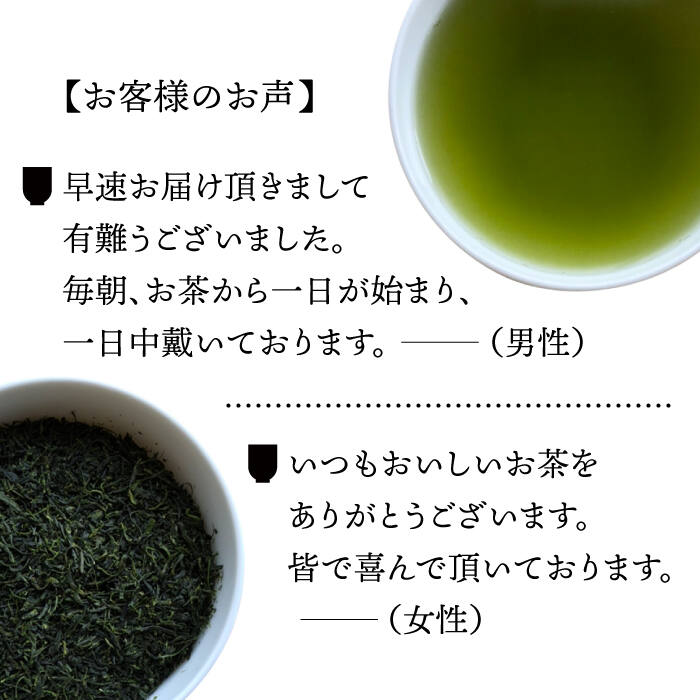 お気に入り そのぎ茶 特上 100g 3本入 s001 Fucoa Cl