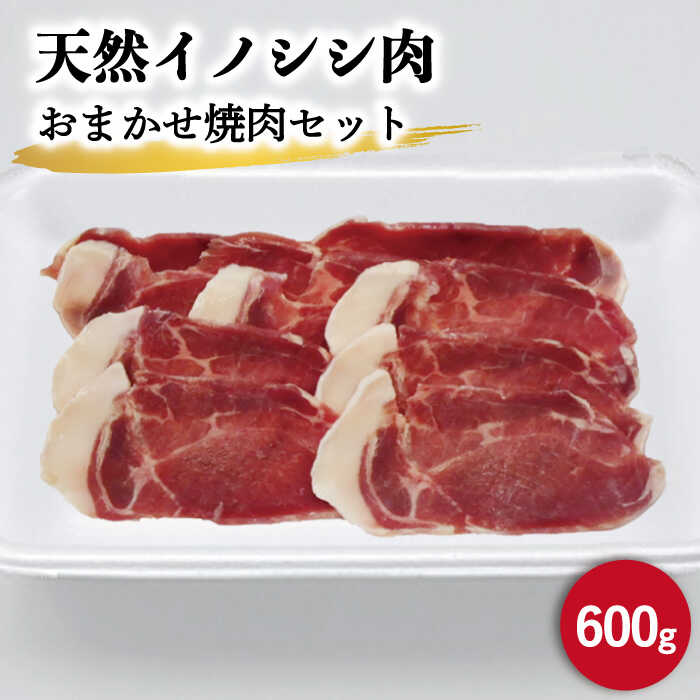 市場 ふるさと納税 ロース バラ 猪 600g 天然 モモ イノシシ肉 ジビエ おまかせ焼肉セット お中元対象