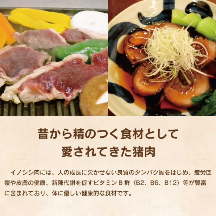 市場 ふるさと納税 野菜炒め用等 ぼたん鍋 イノシシ肉 12回定期便 煮込料理 猪 ジビエ 切り落とし1kg 天然