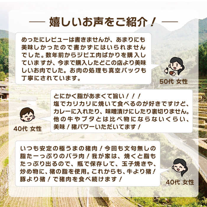 市場 ふるさと納税 バラ 900g ジビエ おまかせ焼肉セット 猪 モモ 6回定期便 イノシシ肉 天然 ロース