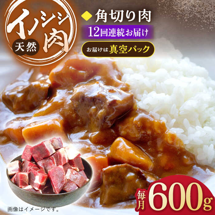 市場 ふるさと納税 カレー 600g 角切り肉 シチュー 12回定期便 猪 ジビエ いのしし イノシシ肉 天然