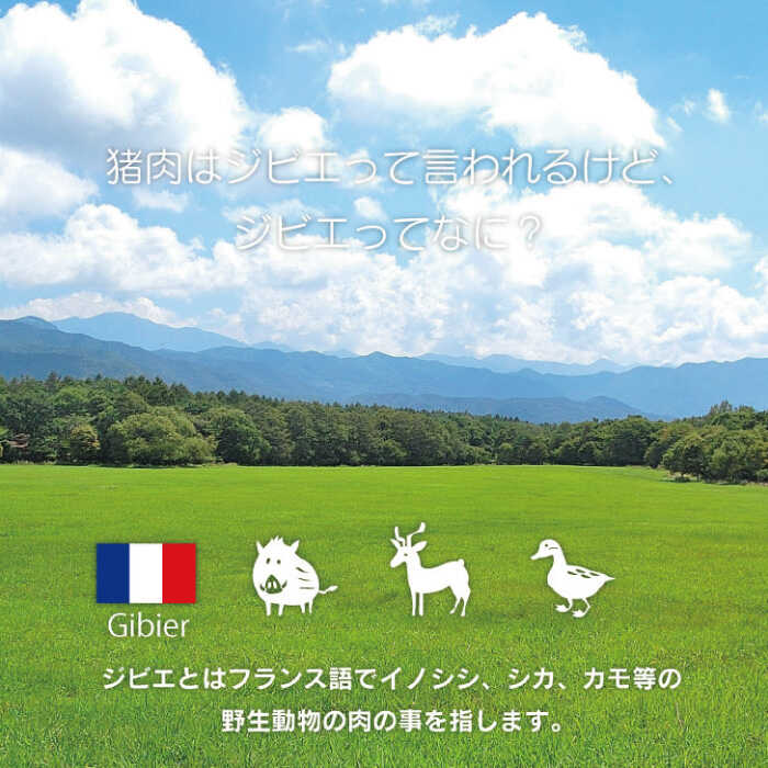 市場 ふるさと納税 粗挽きミンチ肉 いのしし 猪 イノシシ イノシシ肉 600g 12回定期便 ジビエ 天然