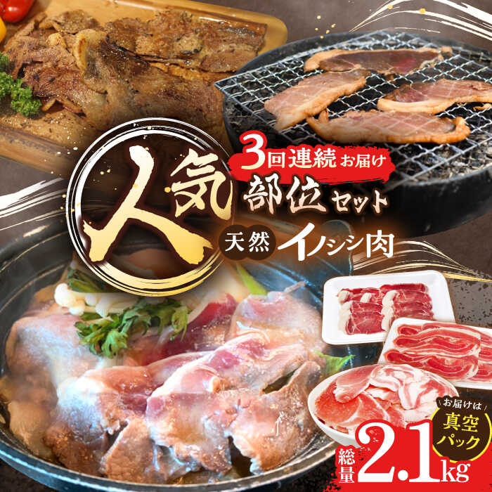 【ふるさと納税】【3回定期便】猪肉 人気部位セット 総量2.1kg / 冷凍発送 いのしし イノシシ 猪 ジビエ 肉 シシ いのしし肉 イノシシ肉 ぼたん鍋 焼肉用 切り落とし こま切れ スライス 冷凍 10万円台 十万円台 九州産 長崎県産 長崎県 川棚町【照本食肉加工所】 [OAJ074]