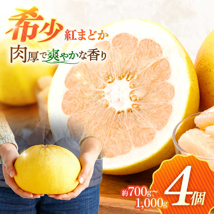 楽天市場】【ふるさと納税】【数量限定】 紅モンスター マコポン