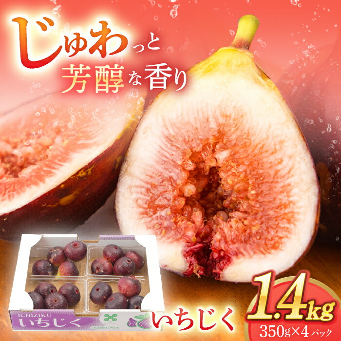 【ふるさと納税】【先行予約】いちじく 約1.2kg（300g×4パック）【田崎FARM】 [OCU004] / 冷蔵発送 フルーツ 無花果 イチジク フィグ 化粧箱入り 贈答用 くだもの 果物 ジャム 大玉 お取り寄せ 一万円台 1万円台 長崎県 九州産 人気いちじく 長崎県産フルーツ 川棚町 果実