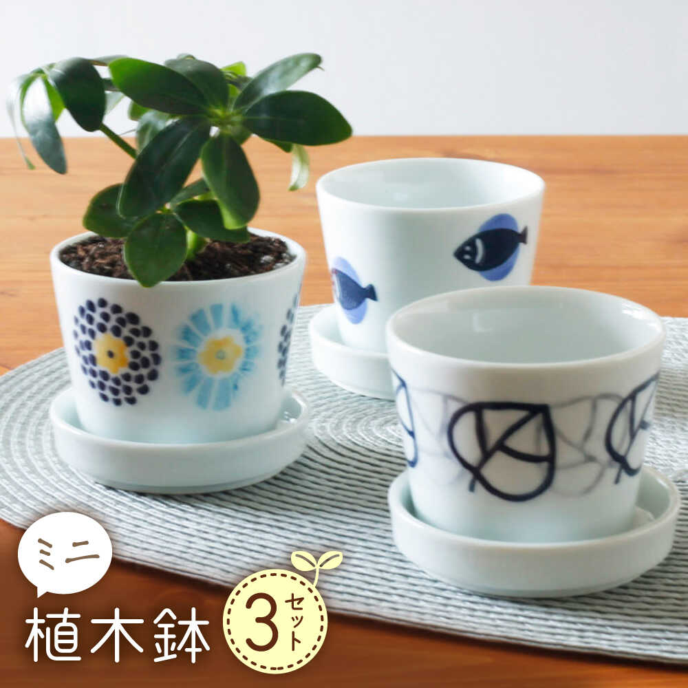 【ふるさと納税】【波佐見焼】 ミニ植木鉢 丸紋菊・二色葉・フィッシュ 3柄セット 【Cheer house】[AC291] 14,000円