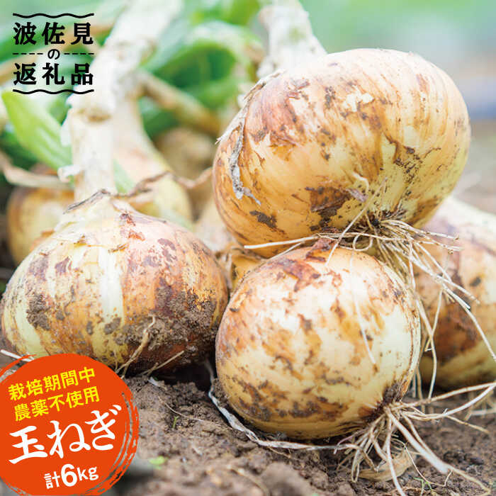 【ふるさと納税】【栽培期間中肥料・農薬不使用】玉ねぎ 6kg【浅田峠自然塾】 [EA03]｜長崎県波佐見町