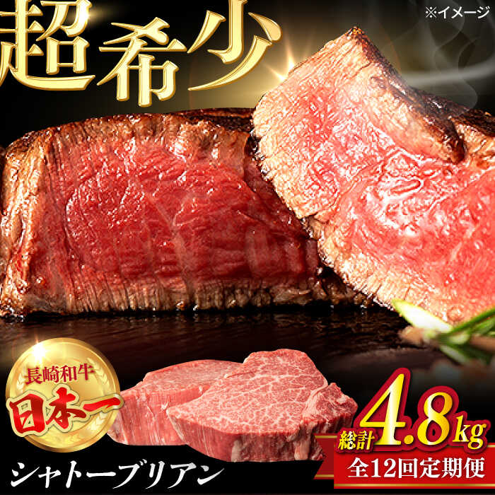 【ふるさと納税】【全12回定期便】極上 シャトーブリアン 長崎和牛 出島ばらいろ 毎月計400g以上（約200g&times;2枚）【肉のマルシン】 ステーキ ヒレ ヒレステーキ ヒレ肉 フィレ[FG47]｜長崎県波佐見町