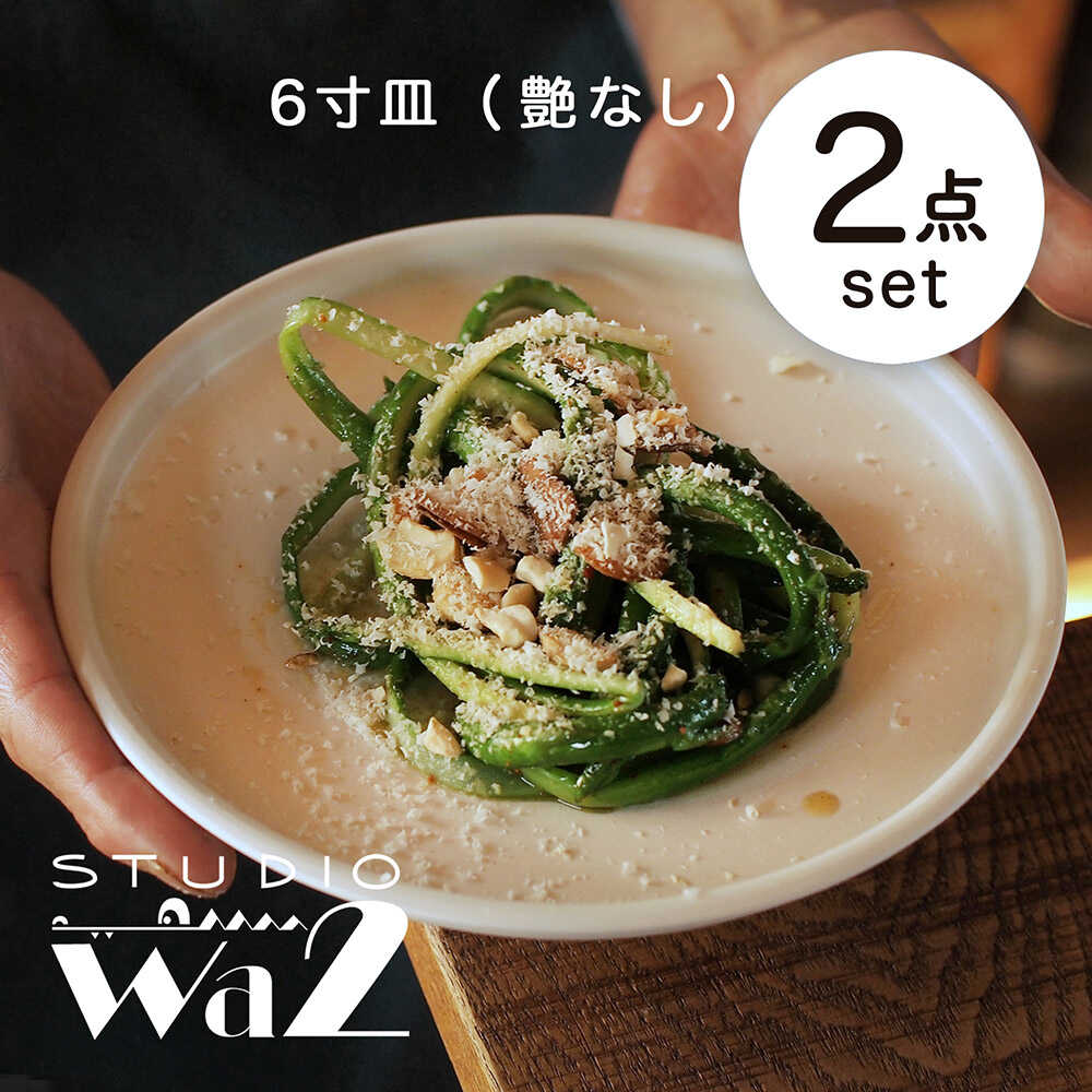【ふるさと納税】【波佐見焼】KINU 6寸皿 2点書き割り（艶なし）【studio wani】[MB82]