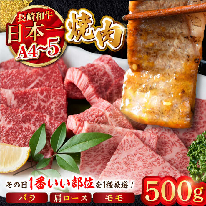 【ふるさと納税】【A4～A5】長崎和牛焼肉用　500g (バラ・肩ロース・モモからいずれか)【株式会社MEAT PLUS】[MG01] 8,360円