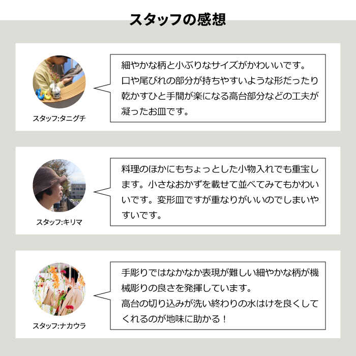 【ふるさと納税】 【 波佐見焼 】 アールシーボリ チョウチョウウオ科 5色セット ( セイジ / ライラック / ピーコック / グレイ / パープル ) 食器 皿 【 natural69 】 [QA121]