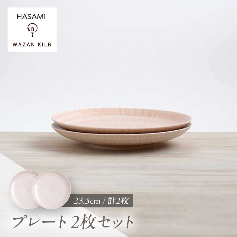 【ふるさと納税】【波佐見焼】大皿 sazanami 23.5cmプレート レッド 2枚【和山】[WB178]